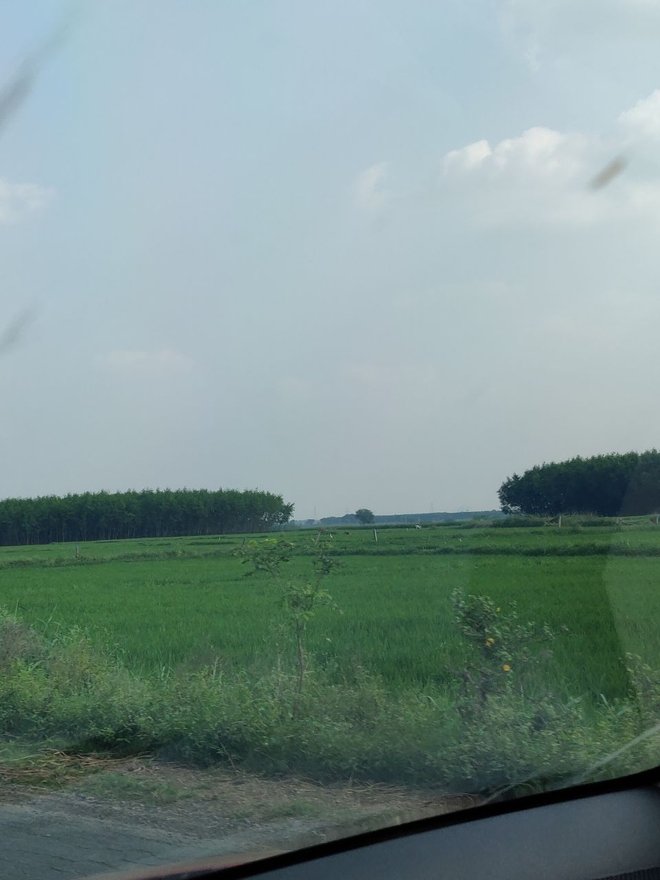 Photo of Addanki - Darsi Rd, Ramayapalem U, Andhra Pradesh 523265, India by Sudhu