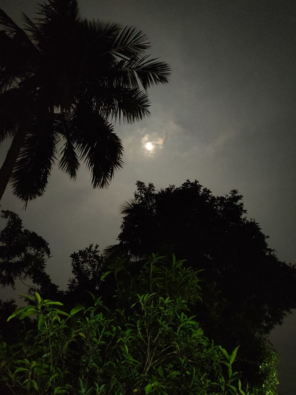 Photo of Unnamed Road, Singarajupalem, Andhra Pradesh 534112, India by Sudhu
