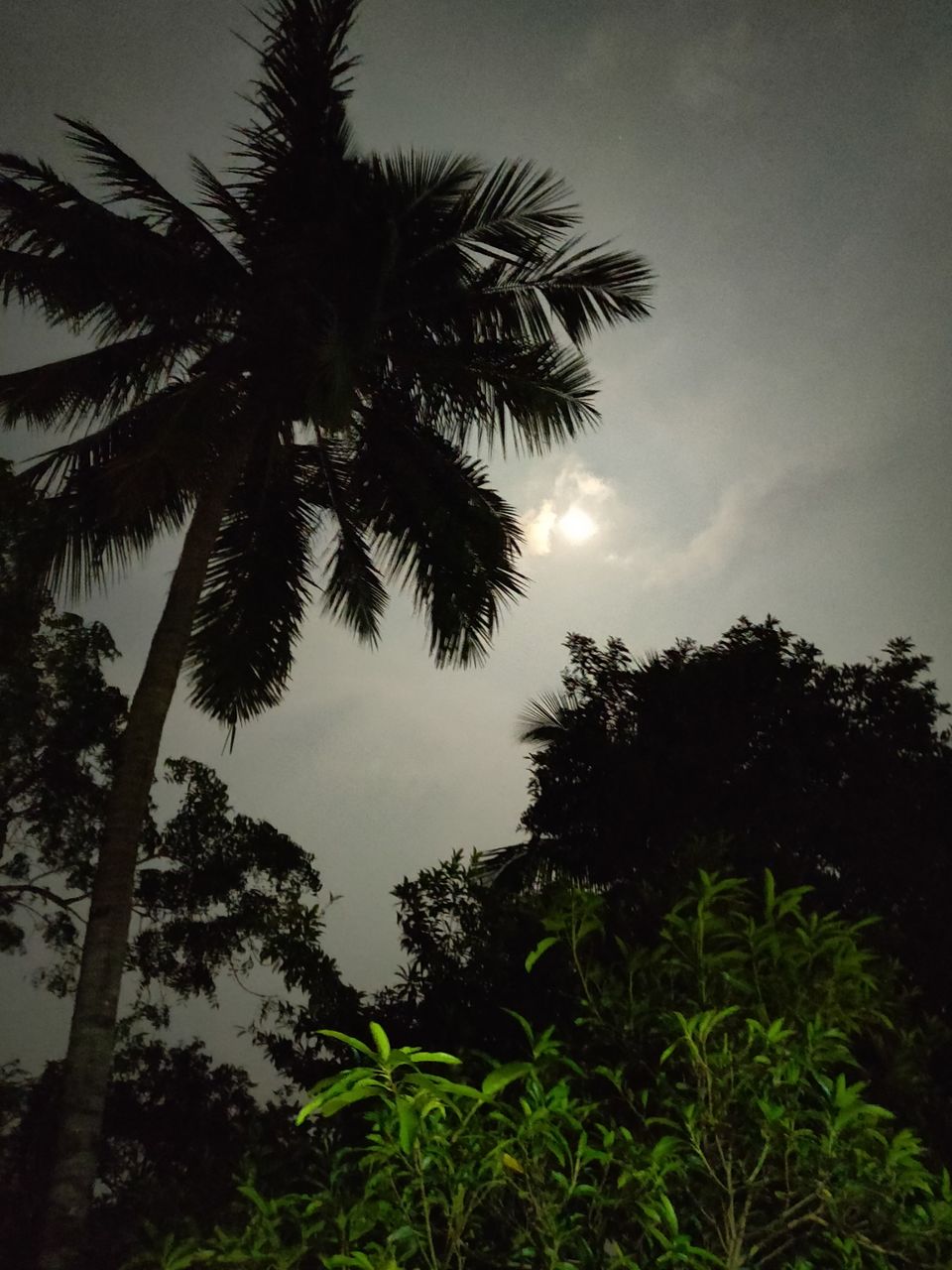 Photo of Unnamed Road, Singarajupalem, Andhra Pradesh 534112, India by Sudhu