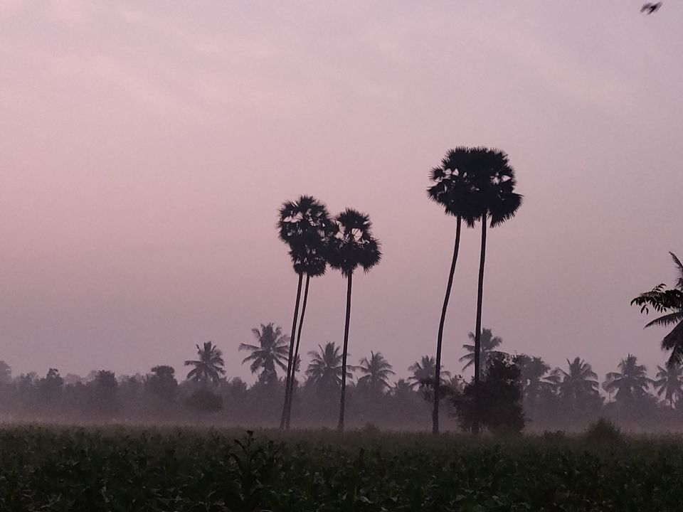 Photo of GNT Road, Nallajerla, Andhra Pradesh 534112, India by Sudhu
