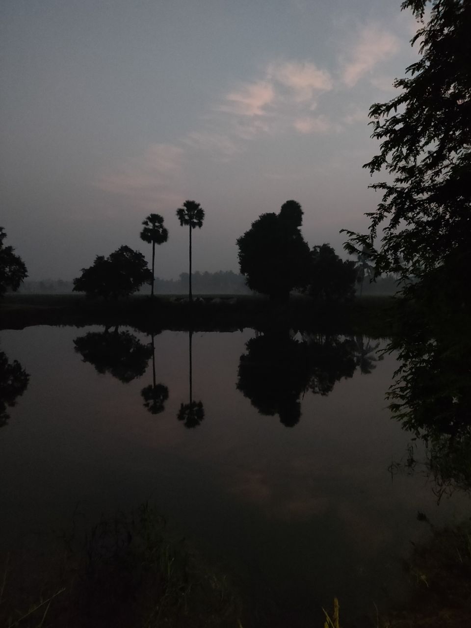 Photo of GNT Road, Nallajerla, Andhra Pradesh 534112, India by Sudhu