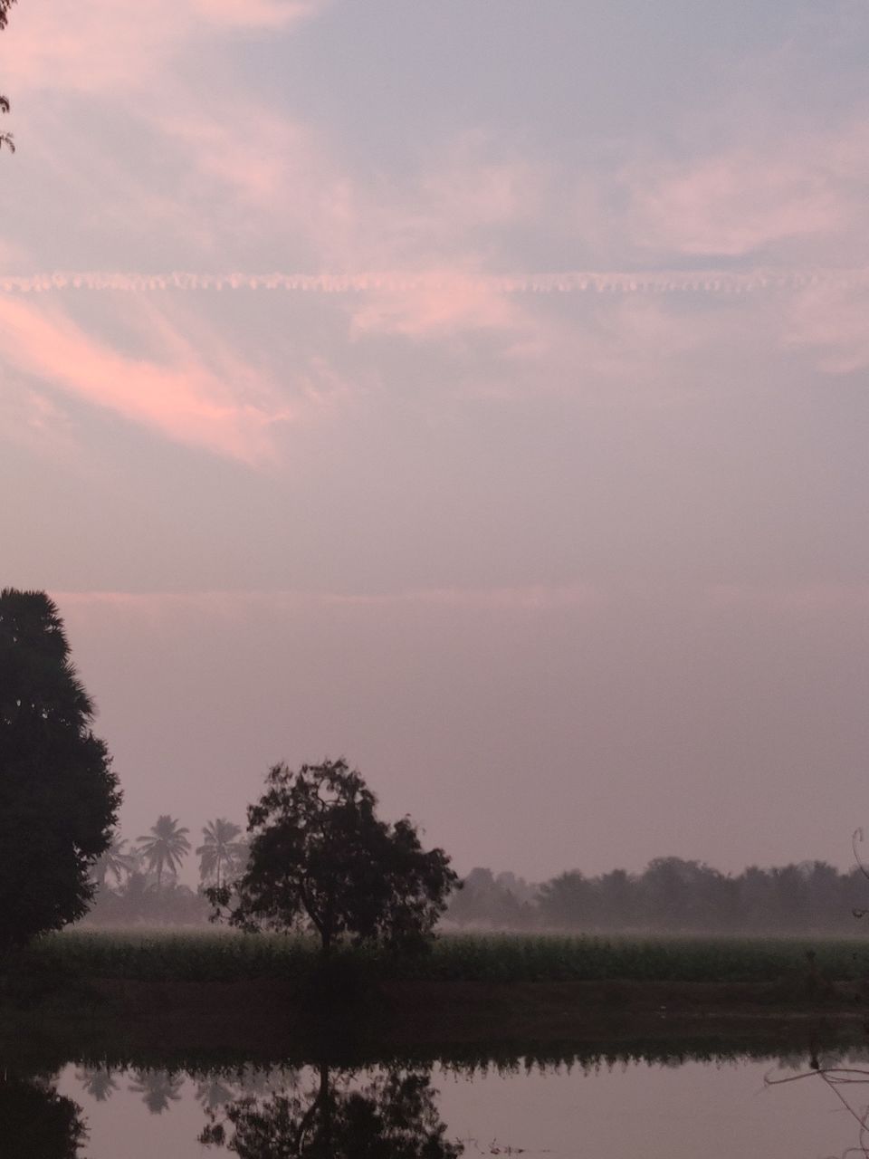 Photo of GNT Road, Nallajerla, Andhra Pradesh 534112, India by Sudhu