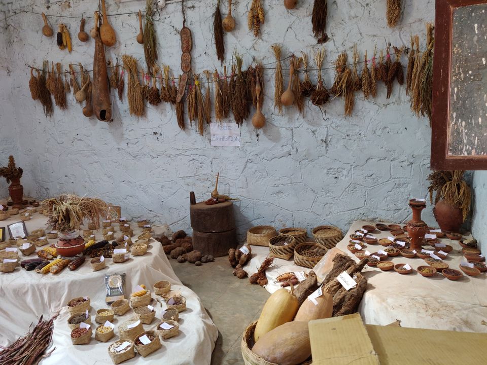 Photo of Tribal Museum, Araku, Andhra Pradesh, India by Sudhu