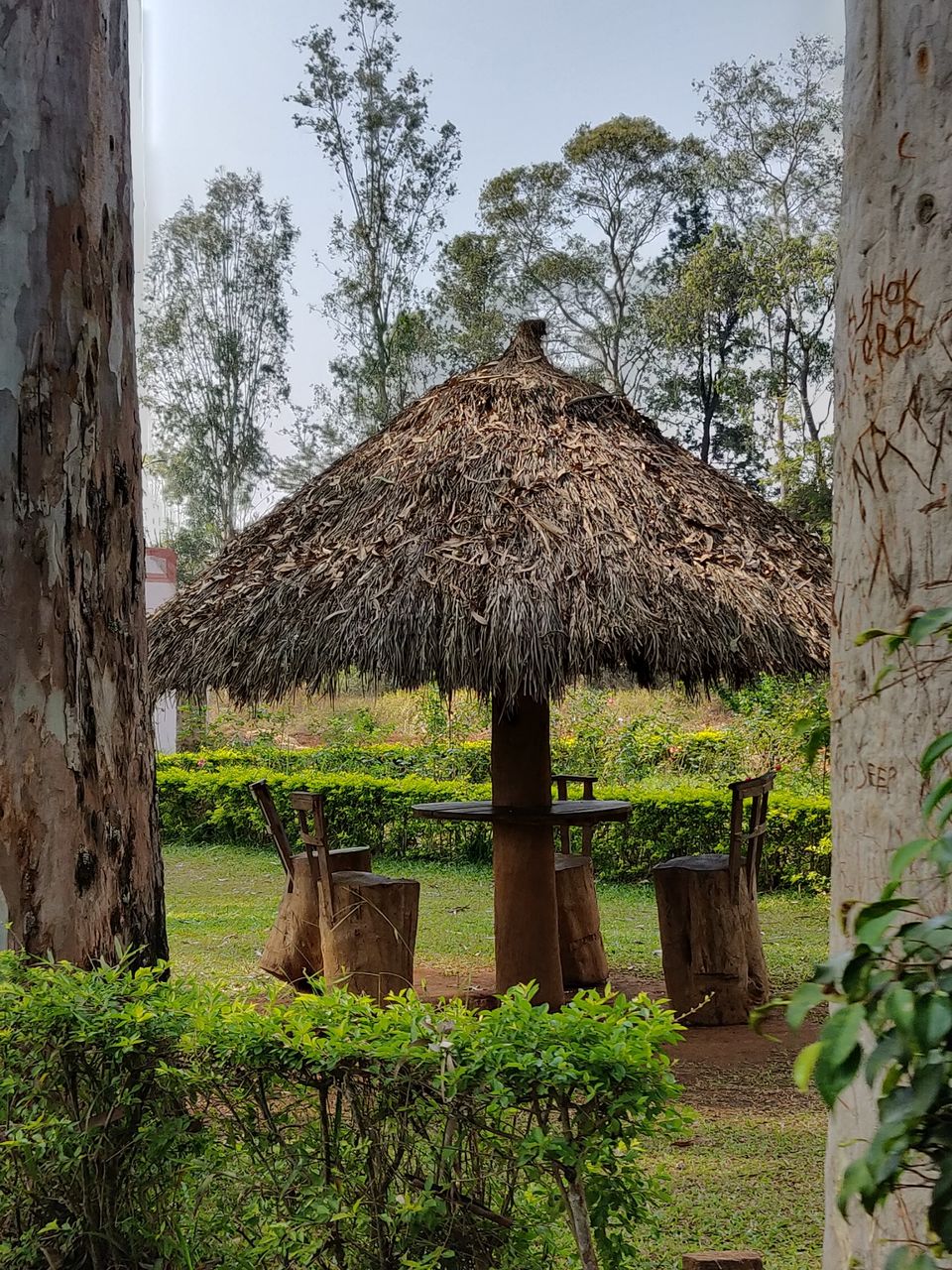 Photo of Padmapuram Garden, Araku, Andhra Pradesh, India by Sudhu