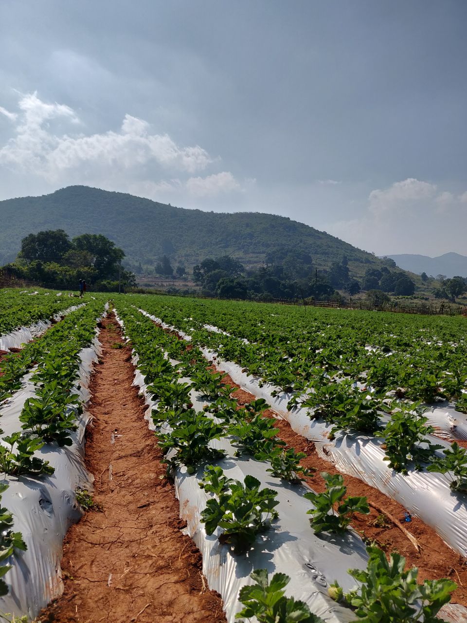 Photo of Lambasingi, Andhra Pradesh, India by Sudhu