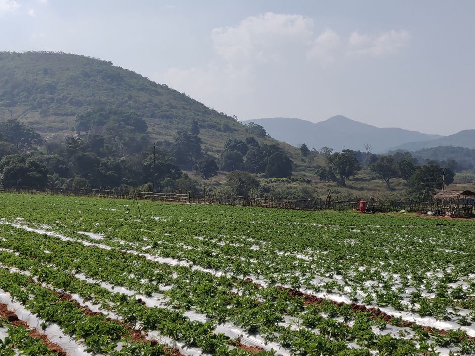 Photo of Lambasingi, Andhra Pradesh, India by Sudhu