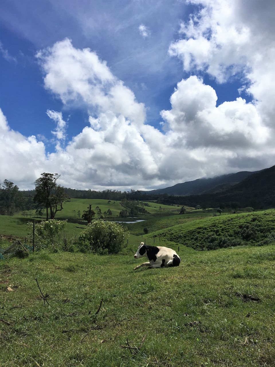 Photo of 7 Reasons Why You Should Visit Sri Lanka 1/5 by Gargee Sarma Boruah