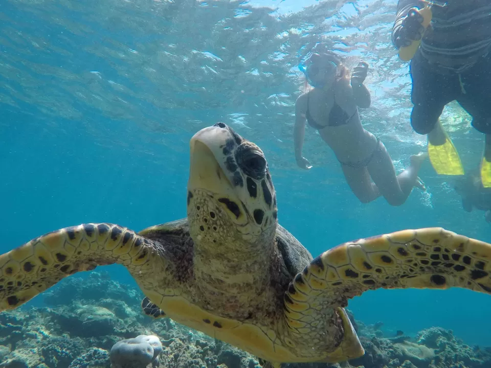 Photo of Exhilarating Maldives !! by Swati Sanghadia