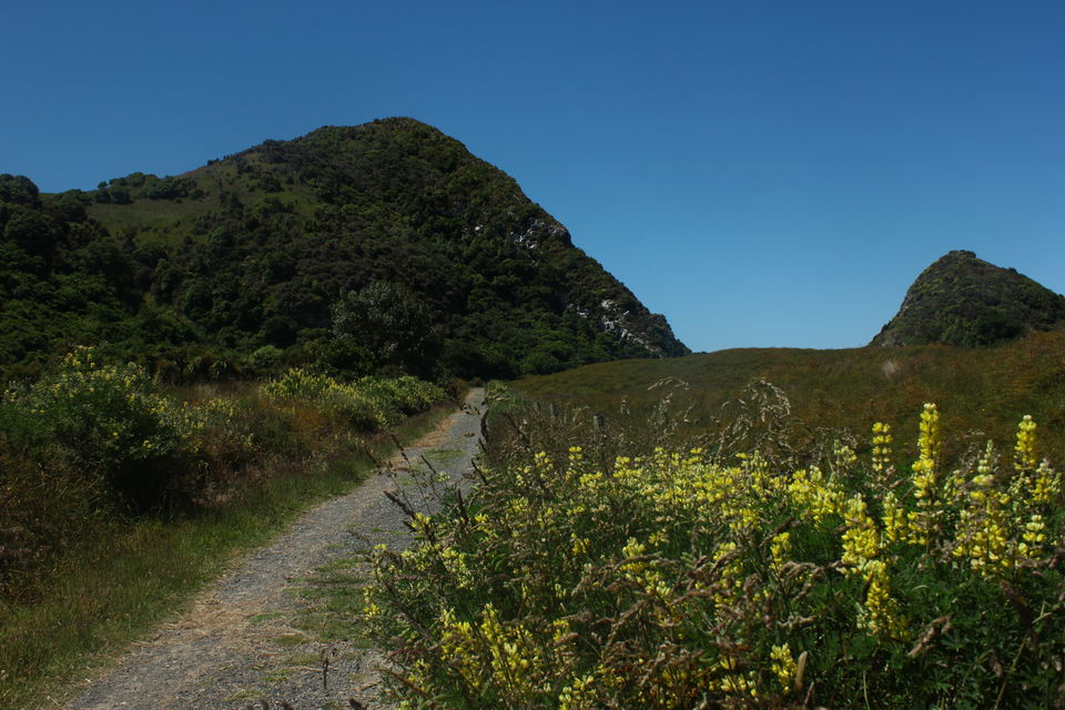 Photo of Pyramids, Penguins & the Pacific Ocean-Walk to a remote New Zealand Beach-Photo Blog by Karthic Ss