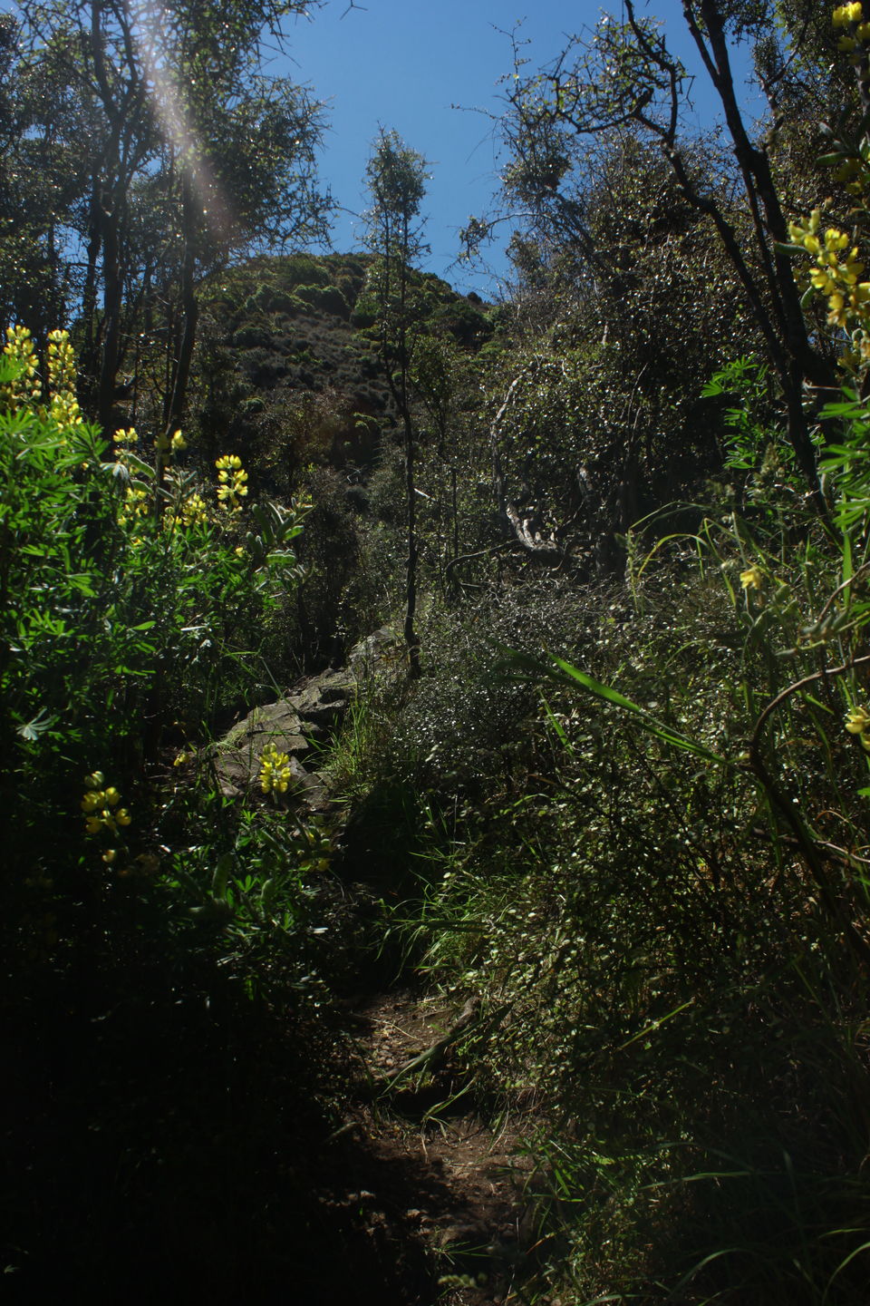 Photo of The Pyramids Riddell Road, Portobello, Okia Flat, New Zealand by Karthic Ss