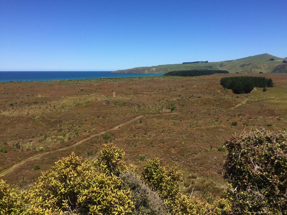 Photo of The Pyramids Riddell Road, Portobello, Okia Flat, New Zealand by Karthic Ss