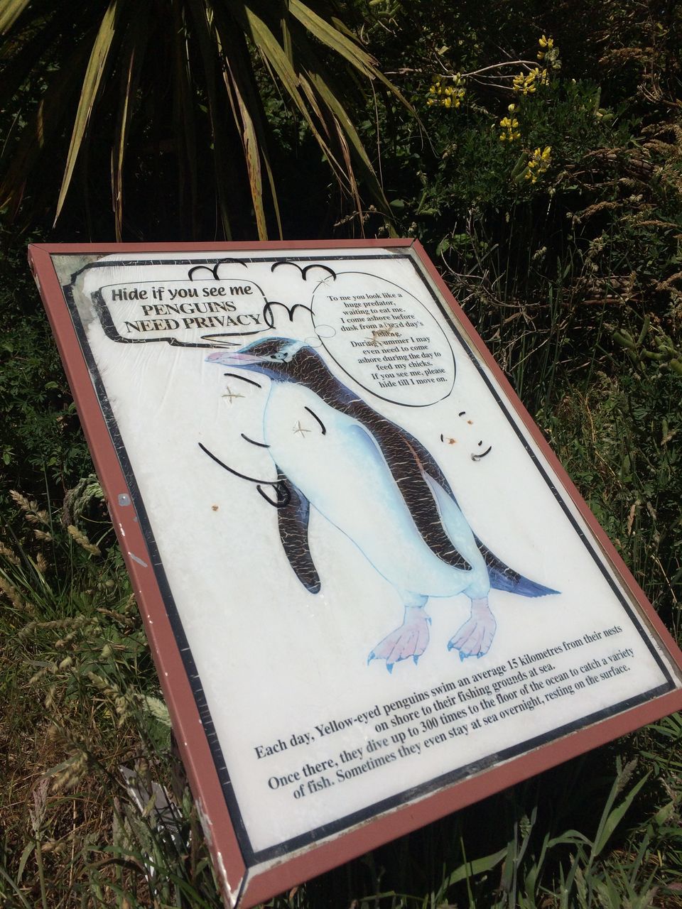 Photo of Pyramids, Penguins & the Pacific Ocean-Walk to a remote New Zealand Beach-Photo Blog by Karthic Ss