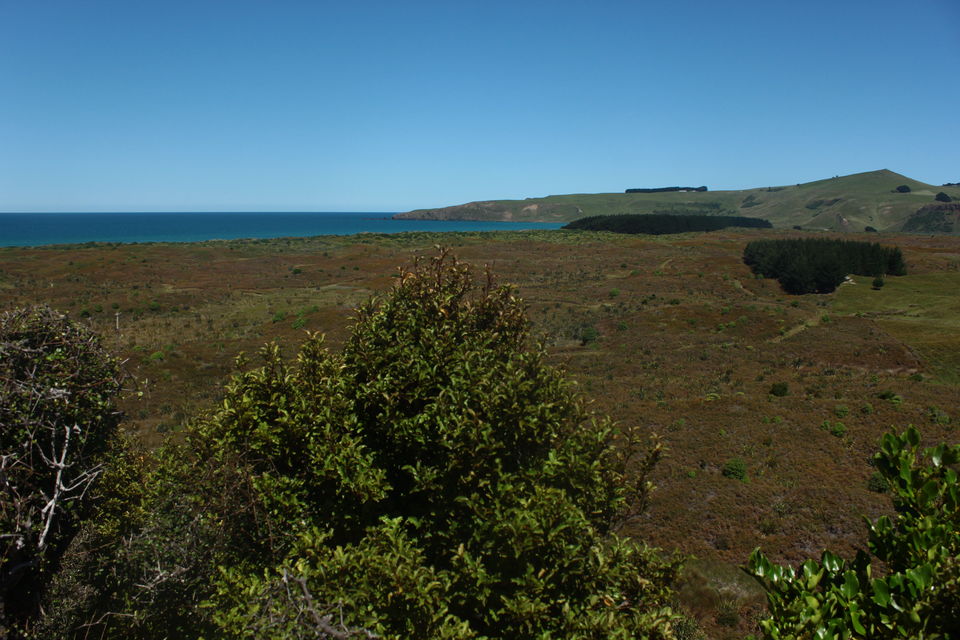Photo of Pyramids, Penguins & the Pacific Ocean-Walk to a remote New Zealand Beach-Photo Blog by Karthic Ss
