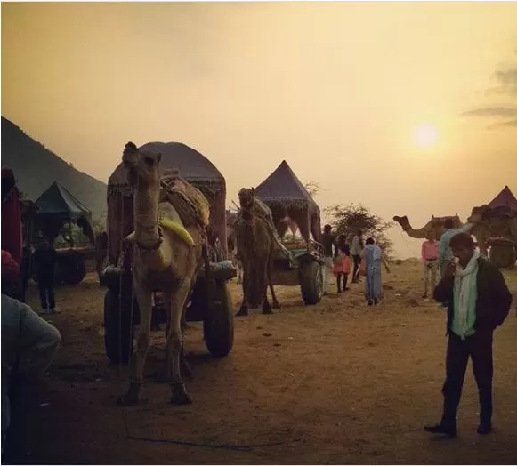 Photo of Pushkar, Rajasthan, India by Shruthi Rao