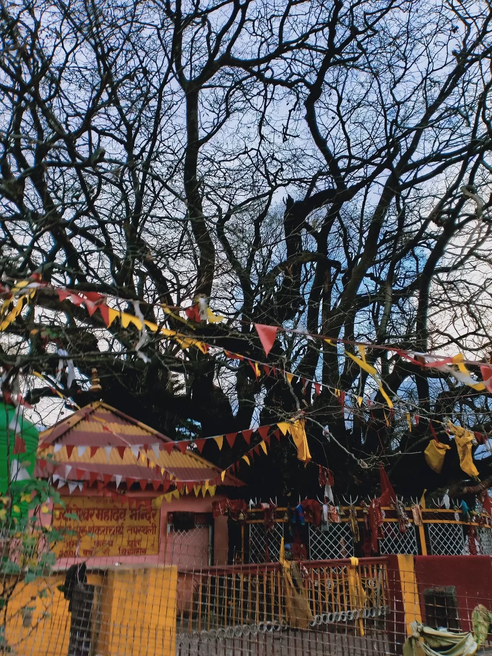Photo of Joshimath By Shirley Raj