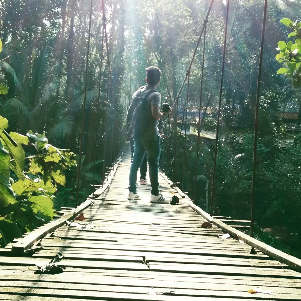 Photo of The unexpected Adventure (Marmala) by Anshad Shaji