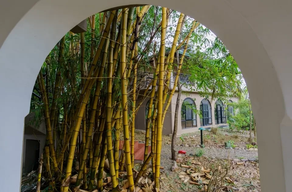 Photo of Corbett/Dhela : An eco-friendly escape #offbeatgetaway by Sandeep Sreedhar