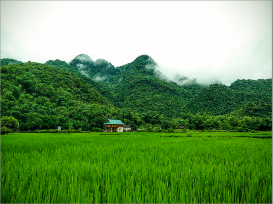 Photo of 5 Reasons Why I Ditched Europe for Vietnam #fivereasons 3/4 by Sandeep Sreedhar