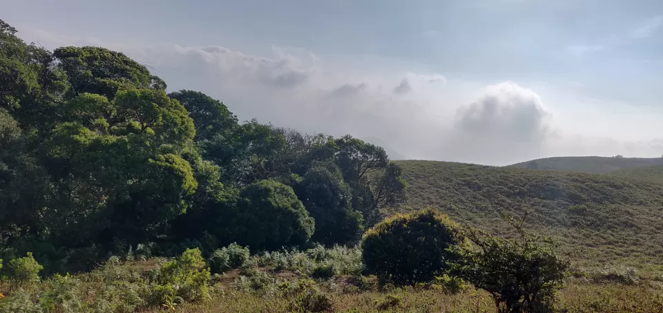 Photo of Mandalpatti Peak, Madikeri, Karnataka, India by Vikas Kawade