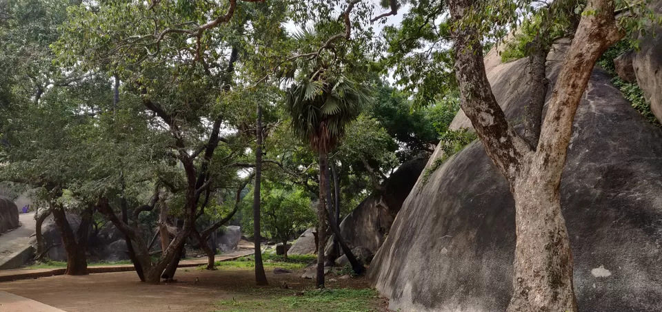 Photo of Mahabalipuram Light House, Mada Koil Street, Mahabalipuram, Tamil Nadu, India by Vikas Kawade