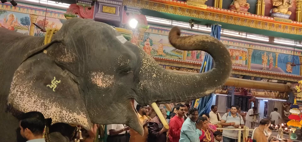 Photo of Arulmigu Manakula Vinayagar Temple, Manakula Vinayagar Koil Street, White Town, Puducherry, India by Vikas Kawade