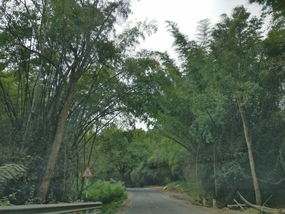 Photo of 1 Car, We 2, 3 States, 4K km, 8 Destinations, 12 Days - Road Trip from Pune to South India by Vikas Kawade