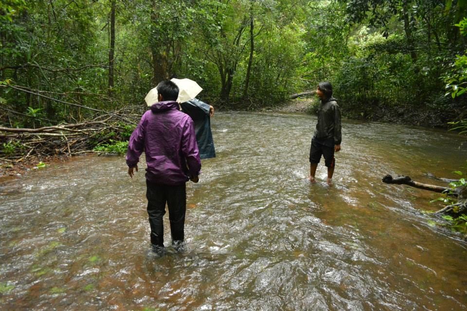 Photo of Herping in Agumbe (Western Ghats of Karnataka) 5/10 by Kushal Jain