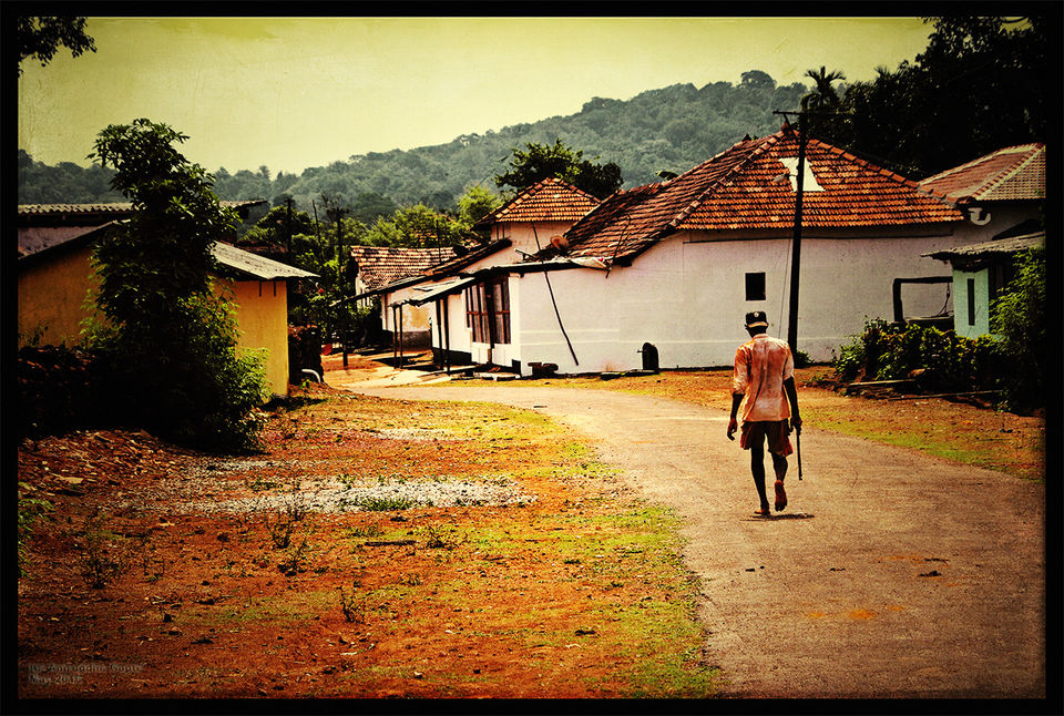Photo of Herping in Agumbe (Western Ghats of Karnataka) 8/10 by Kushal Jain