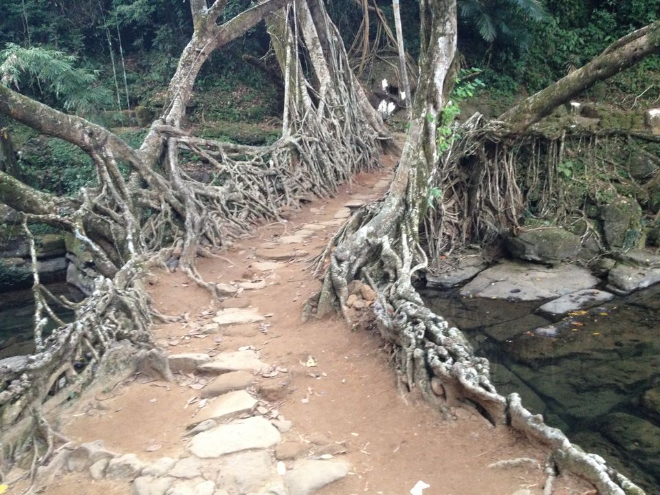 Photo of First Spontaneous Solo Trip to Meghalaya 18/19 by Amrapali