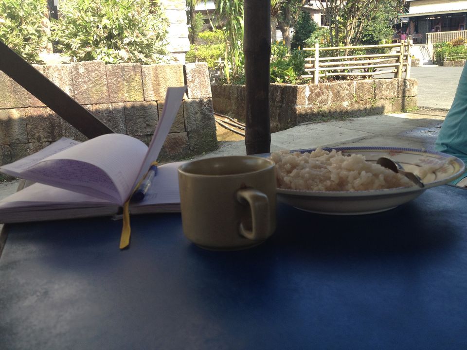 Photo of First Spontaneous Solo Trip to Meghalaya 19/19 by Amrapali