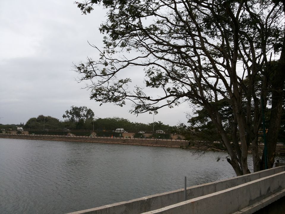 Photo of Malleshwaram West, Bengaluru, Karnataka, India by Kakuli