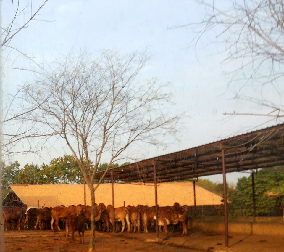 Photo of Mundane Versus Meaningful Bangalore by Kakuli