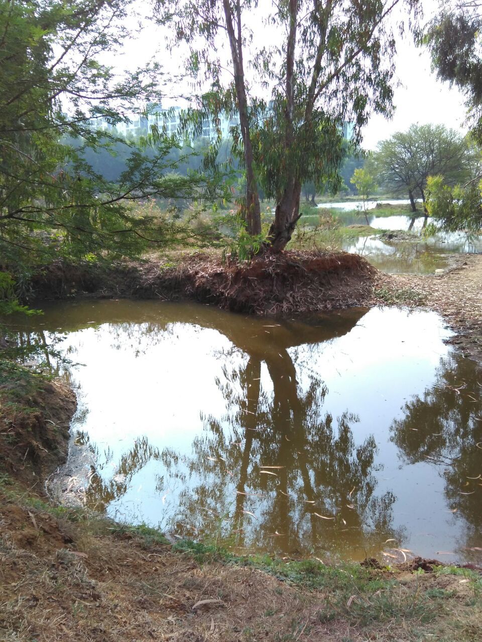 Photo of Gifting Travel Experiences: Visiting A Mud Villa by Kakuli