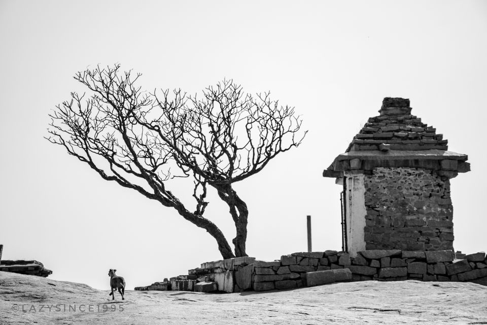 Photo of Hemakuta Hill Temple, Hampi, Karnataka by Ashish