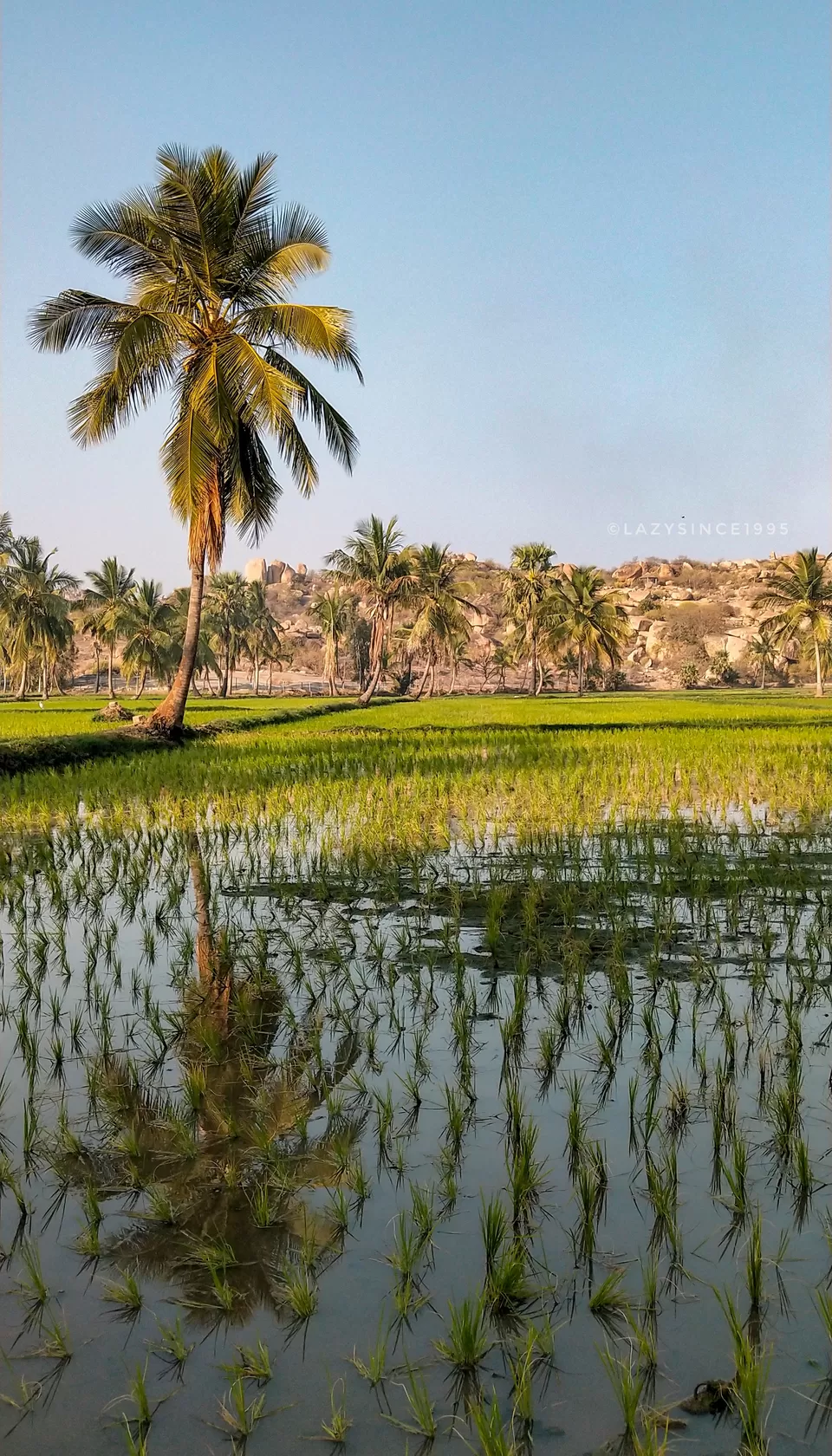 Photo of Hippie Market, Hampi, Karnataka, India by Ashish