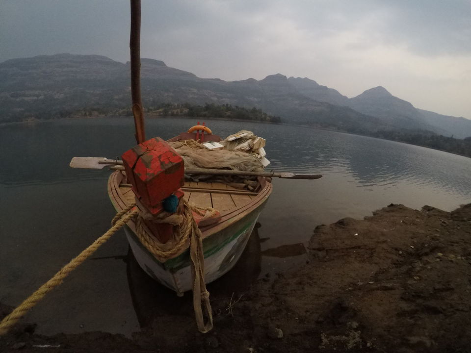 Photo of Camping under million stars at Bhandardara. by Ashish