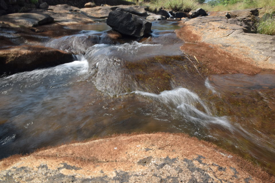 Photo of Anjanvel Agrotourism, Shilimb, Maharashtra, India by Ashish