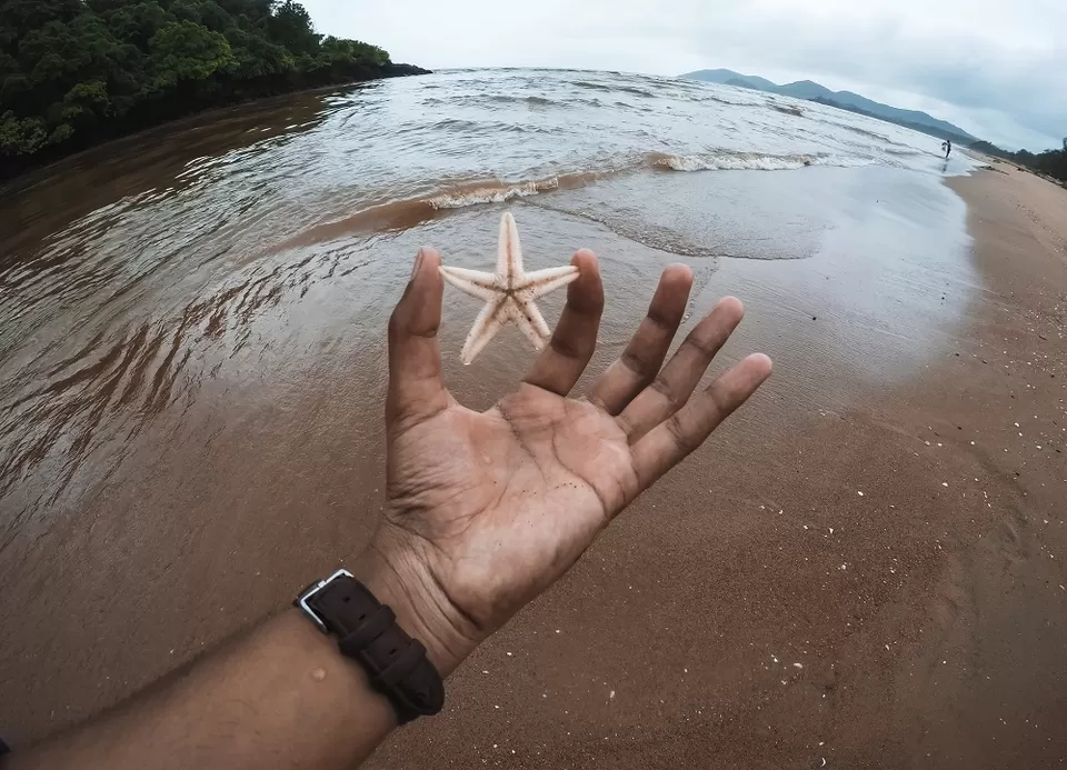Photo of Rajbaga Beach, Rajabagh, Tarir, Palolem, Canacona, Goa, India by Ashish