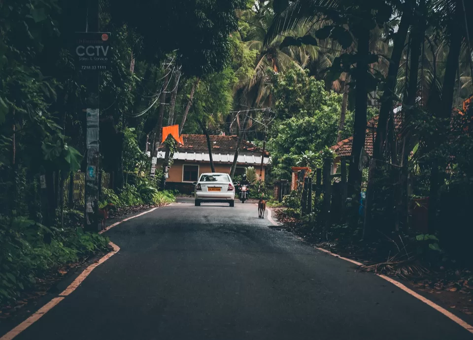 Photo of Palolem Beach, Goa by Ashish