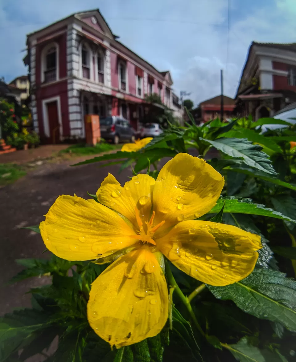 Photo of Fontainhas, Fontainhas (quarter), Altinho, Panaji, Goa, India by Ashish