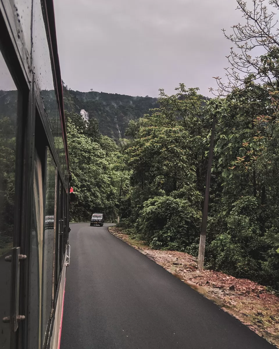 Photo of Sharavati Valley Wildlife Sanctuary, Halethota, Karnataka, India by Ashish