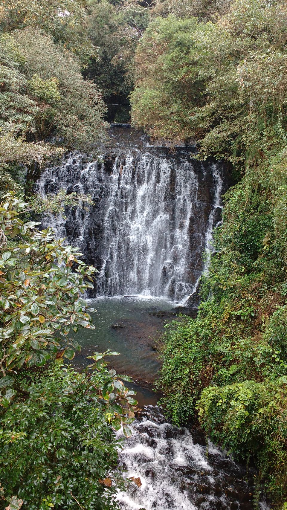 Photo of Meghalaya: The cloud abode!(NH7+towning around) #northeastphotos by Prerna Gupta