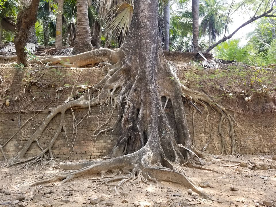 Photo of Ross Island by Prerna Gupta