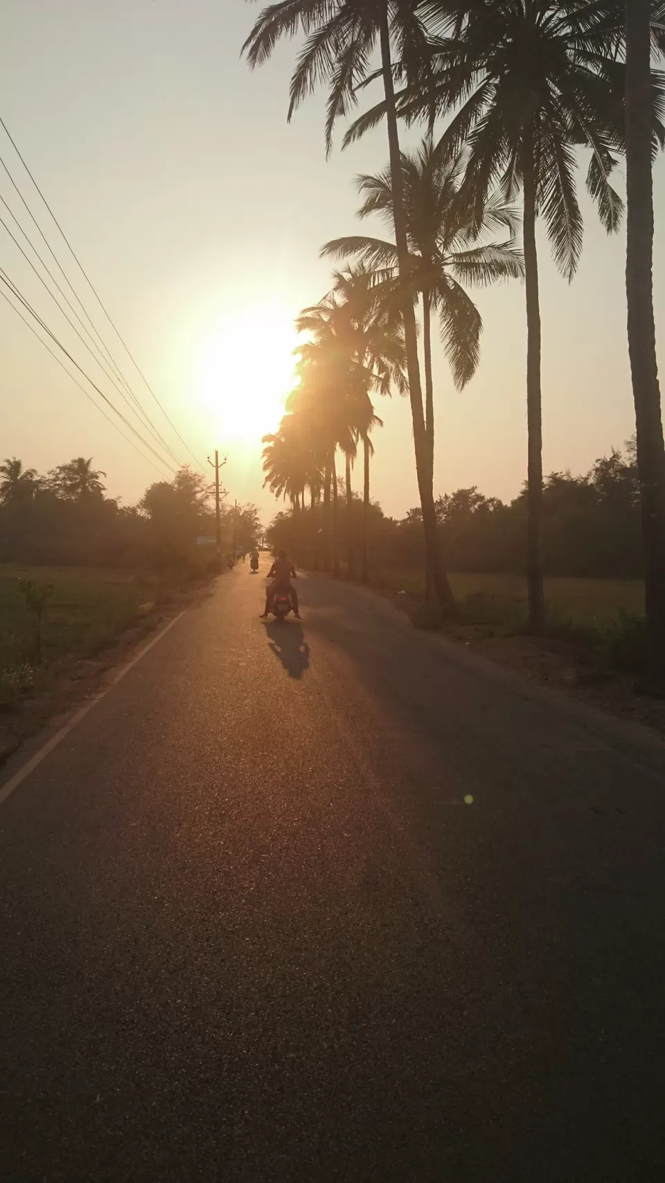 Photo of Baywatch Resort Goa, Sernabatim Beach Road, Ambeaxir, Pedda, Colva, Goa, India by Prashant Srivastava
