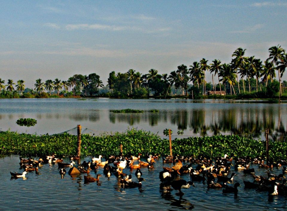 Photo of Kerala on a Bike: The Road to Self Discovery 3/23 by Akhill N Menon