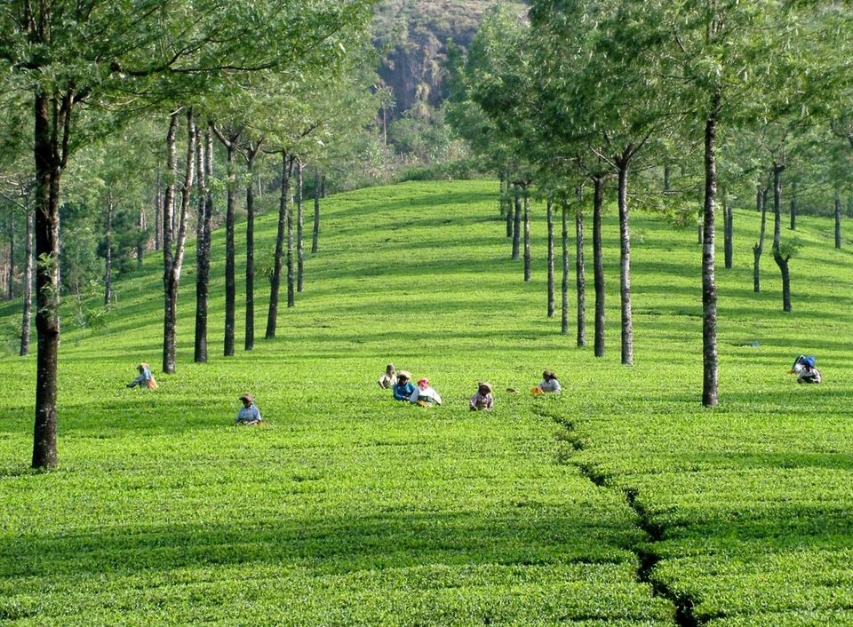 Photo of Kerala on a Bike: The Road to Self Discovery 12/23 by Akhill N Menon