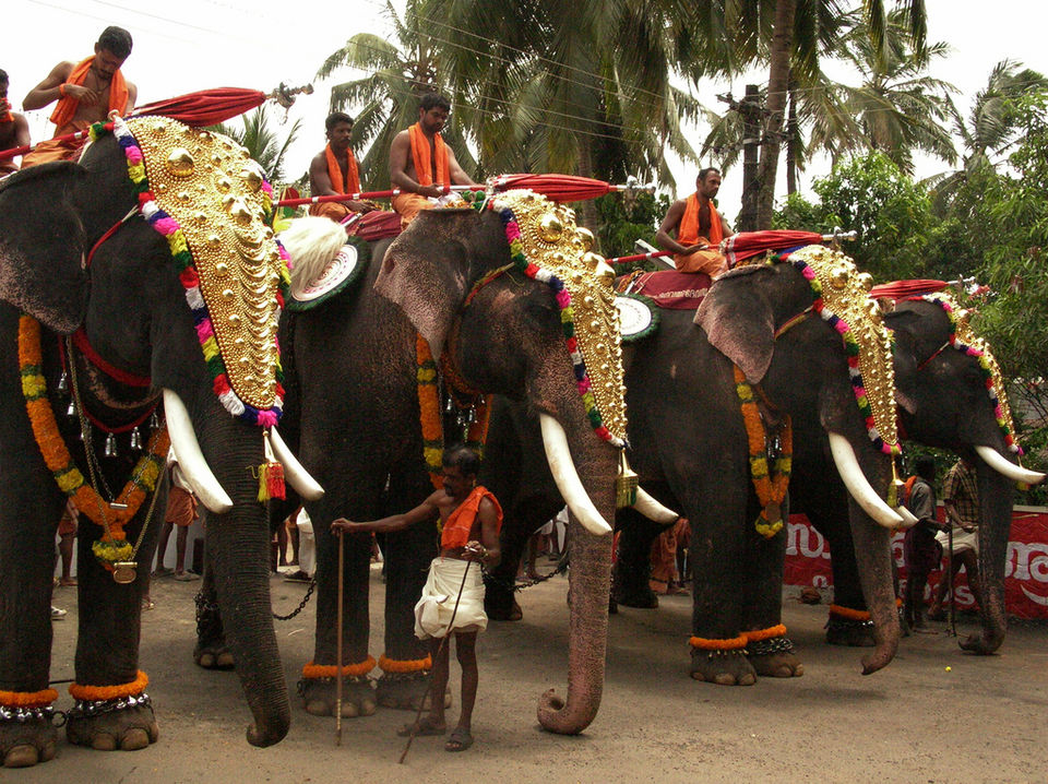 Photo of Kerala on a Bike: The Road to Self Discovery 17/23 by Akhill N Menon