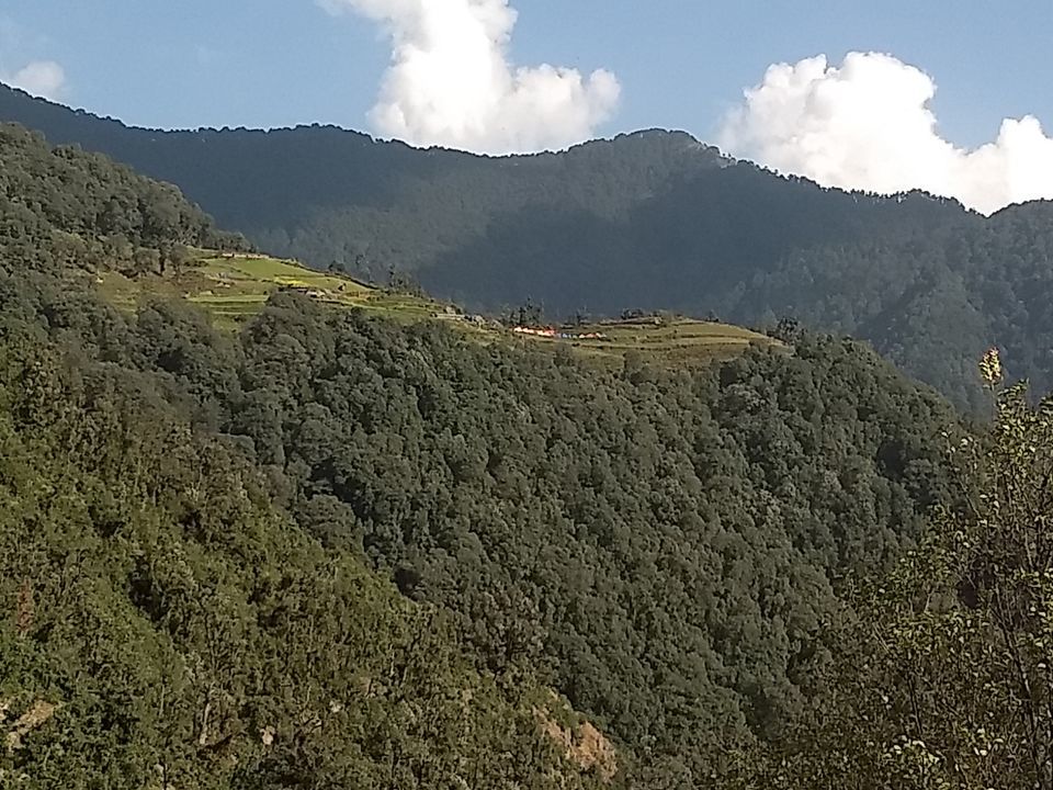 Photo of Nag Tibba Trek - weekend getaway to heaven by Aditya Arora