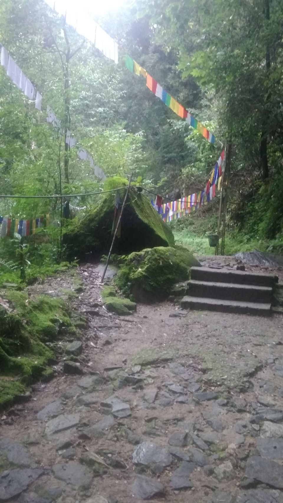 Photo of Serene Sikkim rejuvenates my soul! #bestof2018 3/5 by Madhuri Palaji
