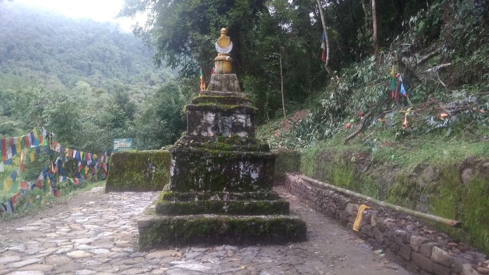 Photo of Serene Sikkim rejuvenates my soul! #bestof2018 5/5 by Madhuri Palaji